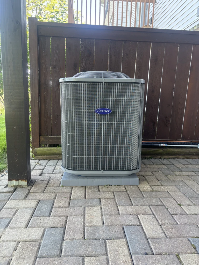 Portfolio image 11